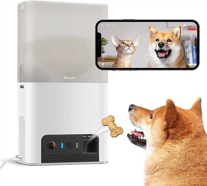 petcube interactive monitoring dispenser two way 로고