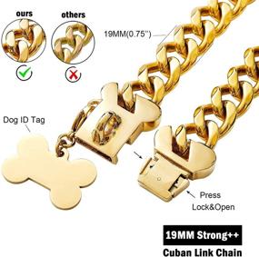 img 3 attached to 🐶 Premium 19MM Stainless Steel Gold Dog Chain Collar: Stylish Pet Jewelry with Bone Shape Buckle, Heavy Duty Cuban Link Choke Chain Walking Collar for Boy & Girl Dogs