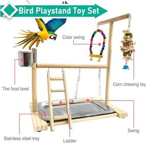 img 3 attached to 🦜 Hamiledyi Bird Playground Parrot Stand | Natural Wooden Perch Gym with Feeder Cups | Ideal for Cockatoo, Conure, Cockatiel, and Parakeet | Cage Accessories Exercise Toy with Tray Included