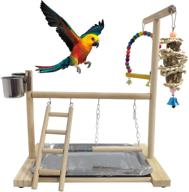 🦜 hamiledyi bird playground parrot stand | natural wooden perch gym with feeder cups | ideal for cockatoo, conure, cockatiel, and parakeet | cage accessories exercise toy with tray included логотип