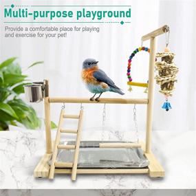 img 1 attached to 🦜 Hamiledyi Bird Playground Parrot Stand | Natural Wooden Perch Gym with Feeder Cups | Ideal for Cockatoo, Conure, Cockatiel, and Parakeet | Cage Accessories Exercise Toy with Tray Included