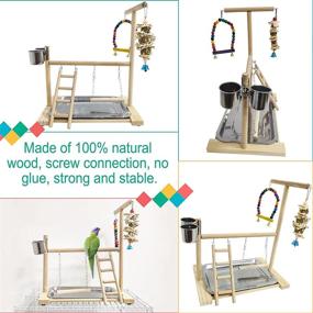 img 2 attached to 🦜 Hamiledyi Bird Playground Parrot Stand | Natural Wooden Perch Gym with Feeder Cups | Ideal for Cockatoo, Conure, Cockatiel, and Parakeet | Cage Accessories Exercise Toy with Tray Included