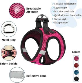 img 3 attached to Escape Proof Cat Harness and Leash Set by Matilor - Perfect for Walking, Ideal Vest Harnesses for Small, Medium, and Large Cats