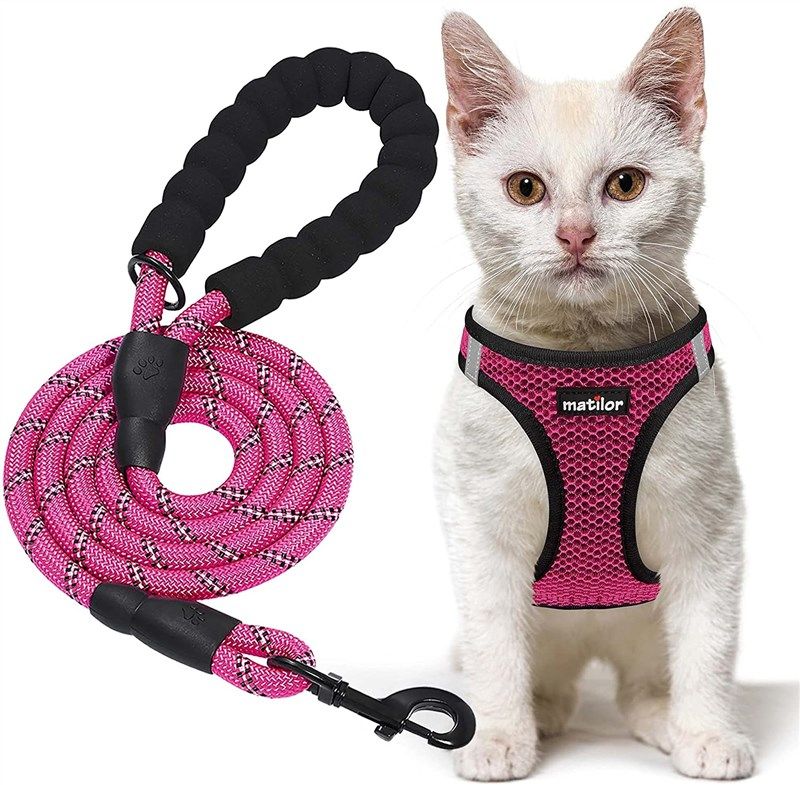 1pc Lovely Pet Cat Vest, Suitable For Small And Medium Cats, Comfortable  And Lightweight, Washable By Machine