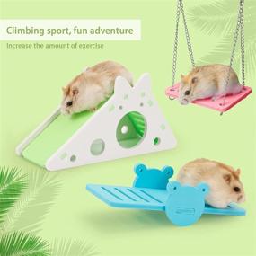 img 1 attached to 🐹 Premium NC Dwarf Hamster Houses and Hideouts - DIY Wooden Gerbil Rainbow Bridge Swing and PVC Seesaw: Pet Sport Exercise Toys Set, Ideal Sugar Glider Syrian Hamster Toy Cage Accessories for Small Animals