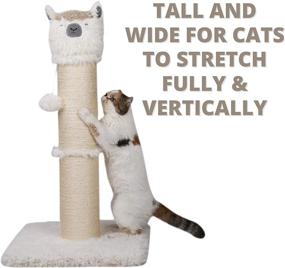 img 1 attached to 🐱 PetnPurr Alpaca Cat Scratching Post: 32.5” Tall with Dangling Ball, Ideal for Large, Multiple Cats - Promotes Vertical Stretching, Play, and Lounging