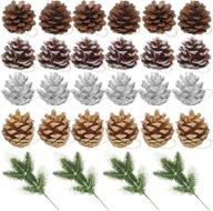 natural pinecones ornaments pack - 24 pieces of danzix pine cones with 4 artificial pine twig leaves | ideal for crafting, holiday & christmas decorations at home логотип