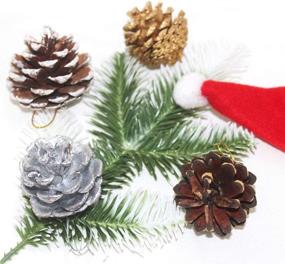 img 2 attached to Natural Pinecones Ornaments Pack - 24 Pieces of DanziX Pine Cones with 4 Artificial Pine Twig Leaves | Ideal for Crafting, Holiday & Christmas Decorations at Home