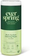 everspring citrus & basil multi-surface cleaning wipes -35 wipes: freshen up with natural cleansing power logo