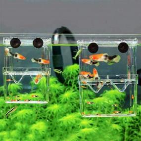 img 2 attached to Senzeal Fish Breeder Box: Optimal Plastic Isolation & Hatching Incubator for Baby Fish, Shrimp, Clownfish & Guppy