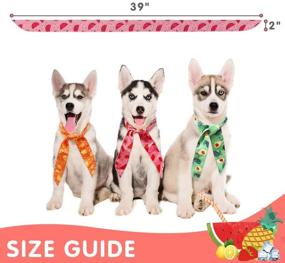 img 3 attached to 🌞 Stay Cool with SCENEREAL Dog Cooling Bandanas - 5 Pack Ice Cool Collar Neck Scarf Set for Summer