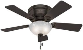 img 2 attached to 🏞️ Hunter Haskell Indoor Low Profile Ceiling Fan: 42" Premier Bronze with LED Light & Pull Chain Control