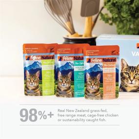 img 2 attached to 🐱 Feline Natural Grain-Free Cat Food Pouch