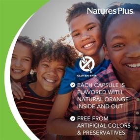 img 1 attached to 🌿 NaturesPlus Childrens Vita-Gels - 180 Softgels - Natural Orange Flavor - Childrens Multivitamin & Mineral Supplement - Promotes Health & Energy - Gluten-Free - 180 Servings