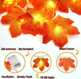 img 2 attached to Vibrant Fall Maple Leaves String Lights - 2 Pack, 5.9ft Lighted Garland for Thanksgiving Decor, Indoor/Outdoor Autumn Home Party Lights