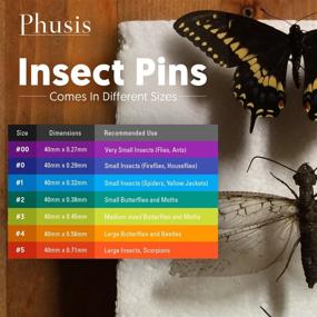 img 1 attached to 🪲 Phusis Stainless Steel Entomology Pins