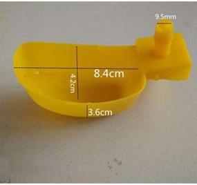 img 3 attached to SaiDian Automatic Waterer Chickens Drinking