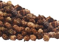 🎄 deloky 150 pcs christmas mini pine cones - 3cm thanksgiving & christmas pinecone ornaments for diy crafts, home decor, fall & winter, wedding decorations logo