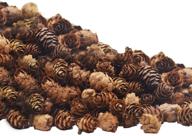 🎄 deloky 150 pcs christmas mini pine cones - 3cm thanksgiving & christmas pinecone ornaments for diy crafts, home decor, fall & winter, wedding decorations логотип