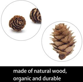 img 3 attached to 🎄 Deloky 150 PCS Christmas Mini Pine Cones - 3CM Thanksgiving & Christmas Pinecone Ornaments for DIY Crafts, Home Decor, Fall & Winter, Wedding Decorations
