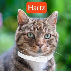 img 1 attached to 🐱 Hartz UltraGuard Plus Water Resistant Flea & Tick Collar for Cats - 7 Month Protection (3270094268)