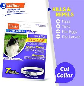img 3 attached to 🐱 Hartz UltraGuard Plus Water Resistant Flea & Tick Collar for Cats - 7 Month Protection (3270094268)