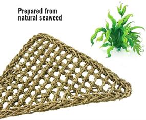 img 2 attached to 🦎 ZYYRT Bearded Dragon Hammock - Reptile Tank Accessories for Climbing, Jungle Climber Vines with Flexible Leaves Habitat, Reptile Decor for Chameleon, Lizards, Gecko, Snakes