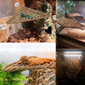 img 3 attached to 🦎 ZYYRT Bearded Dragon Hammock - Reptile Tank Accessories for Climbing, Jungle Climber Vines with Flexible Leaves Habitat, Reptile Decor for Chameleon, Lizards, Gecko, Snakes