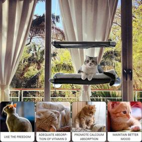 img 1 attached to 🐱 Deluxe Cat Window Perches: Double-layered, Includes Free Lamb's Fleece Blanket and Toys, Supports up to 55 lbs, Space-Saving Resting Seat for Large Cats, 360° Sunbathing and Safety Hammock