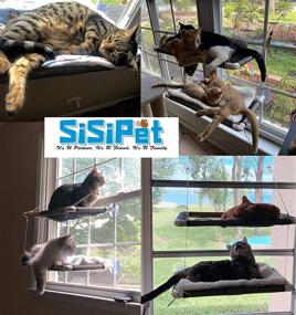 img 3 attached to 🐱 Deluxe Cat Window Perches: Double-layered, Includes Free Lamb's Fleece Blanket and Toys, Supports up to 55 lbs, Space-Saving Resting Seat for Large Cats, 360° Sunbathing and Safety Hammock