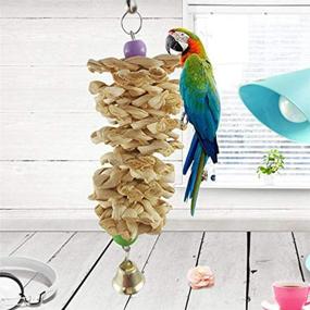 img 2 attached to 🐦 High-Quality 12-Pack Bird Parrot Swing Chewing Toys - Hanging Bell Birds Cage Toys Ideal for Small Parakeets, Cockatiel, Conures, Finches, Budgie, Macaws, Parrots, and Love Birds