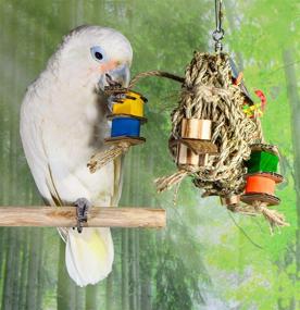 img 3 attached to 🐦 Seagrass Foraging Pouch Toy with Wood Toys on Natural Rope - Fun Foraging and Chewing Toy for Conures, Cockatoos, Cockatiels, Macaws, Greys, Amazons, and Other Birds