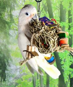 img 1 attached to 🐦 Seagrass Foraging Pouch Toy with Wood Toys on Natural Rope - Fun Foraging and Chewing Toy for Conures, Cockatoos, Cockatiels, Macaws, Greys, Amazons, and Other Birds