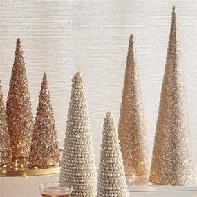 img 1 attached to 🎄 Set of 2 Champagne Gold Christmas Cone Trees, Raz 20-inch and 24-inch, Iced and Glittered