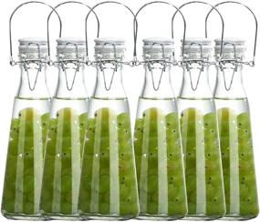 img 2 attached to 🍾 Tebery 6 Pack 16oz Clear Swing Top Glass Bottles with Handle - Flip Top Brewing Bottles with Leak Proof Easy Caps