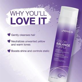 img 3 attached to 🌸 Banish Brassiness: Joico Color Balance Purple Shampoo for Cool Blonde or Gray Hair