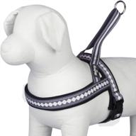 🐾 enhance safety and comfort with blueberry pet 4 colors soft & comfy 3m reflective jacquard padded dog harnesses logo