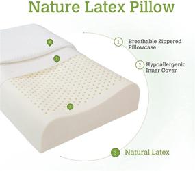 img 1 attached to 🌿 Organic 100% Natural Latex Pillow (Standard) - Optimal Medium Firmness for Soft Support, MELTIN Curving Ergonomic Bed Pillow with High and Low Curved Profiles, Ideal for Side and Back Sleepers