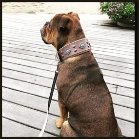 img 2 attached to 🐕 Premium Aztec Grey Genuine Leather Big Dog Collar with Unique Rivet Design and Soft Padding