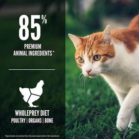 img 1 attached to Корм для кошек ORIJEN Grain Free: Рецепт Fit & Trim с свежими сырыми ингредиентами животного происхождения.