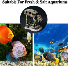 img 1 attached to 🏰 Enhance Your Aquarium with Fazhongfa Castle and Robot Dog Decor: Perfect Betta Toy and Hideout for Small-Medium Resin Fish, Including Cave, House, and Background Ornamentation