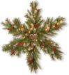 national tree snowflake operated frb3 300 32s bc logo
