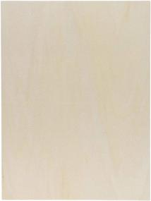 img 1 attached to 🎨 Premium Unfinished Wood Panel Boards for Painting Arts & Crafts - 6 Pack (9x12 in)