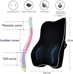 img 2 attached to 🪑 Окончательная поддержка поясницы: подушка из памяти для спины для облегчения боли в пояснице в офисе, автомобиле или игровом кресле - дышащий дизайн 3D-сетки