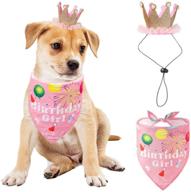 pet dog birthday bandana hat set | cute and stylish dog birthday party supplies | bandana and hat for boy girl puppy | scarf for small-medium dogs | perfect for pet birthday celebrations (pink) логотип