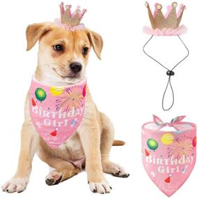 img 3 attached to Pet Dog Birthday Bandana Hat Set | Cute and Stylish Dog Birthday Party Supplies | Bandana and Hat for Boy Girl Puppy | Scarf for Small-Medium Dogs | Perfect for Pet Birthday Celebrations (Pink)