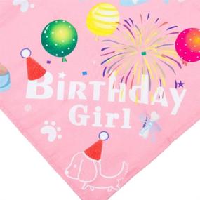 img 1 attached to Pet Dog Birthday Bandana Hat Set | Cute and Stylish Dog Birthday Party Supplies | Bandana and Hat for Boy Girl Puppy | Scarf for Small-Medium Dogs | Perfect for Pet Birthday Celebrations (Pink)