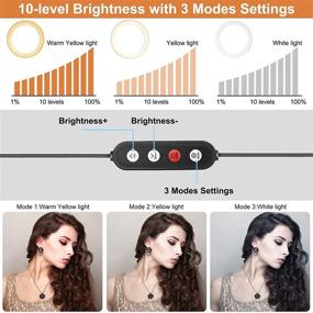 img 3 attached to 📷 PEHESHE 10.2" Светодиодное кольцо для селфи: штатив, правильное освещение - идеально для YouTube, фотографии, видео и TIK TOK!