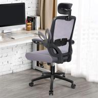 🪑 engber ergonomic office chair with lumbar support: adjustable design, flit-up arms, and mesh high-back for home and computer desks logo