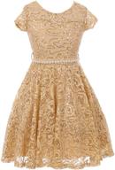 stunning bny corner cap sleeve floral lace glitter pearl holiday party flower girl dress: get ready to sparkle! logo